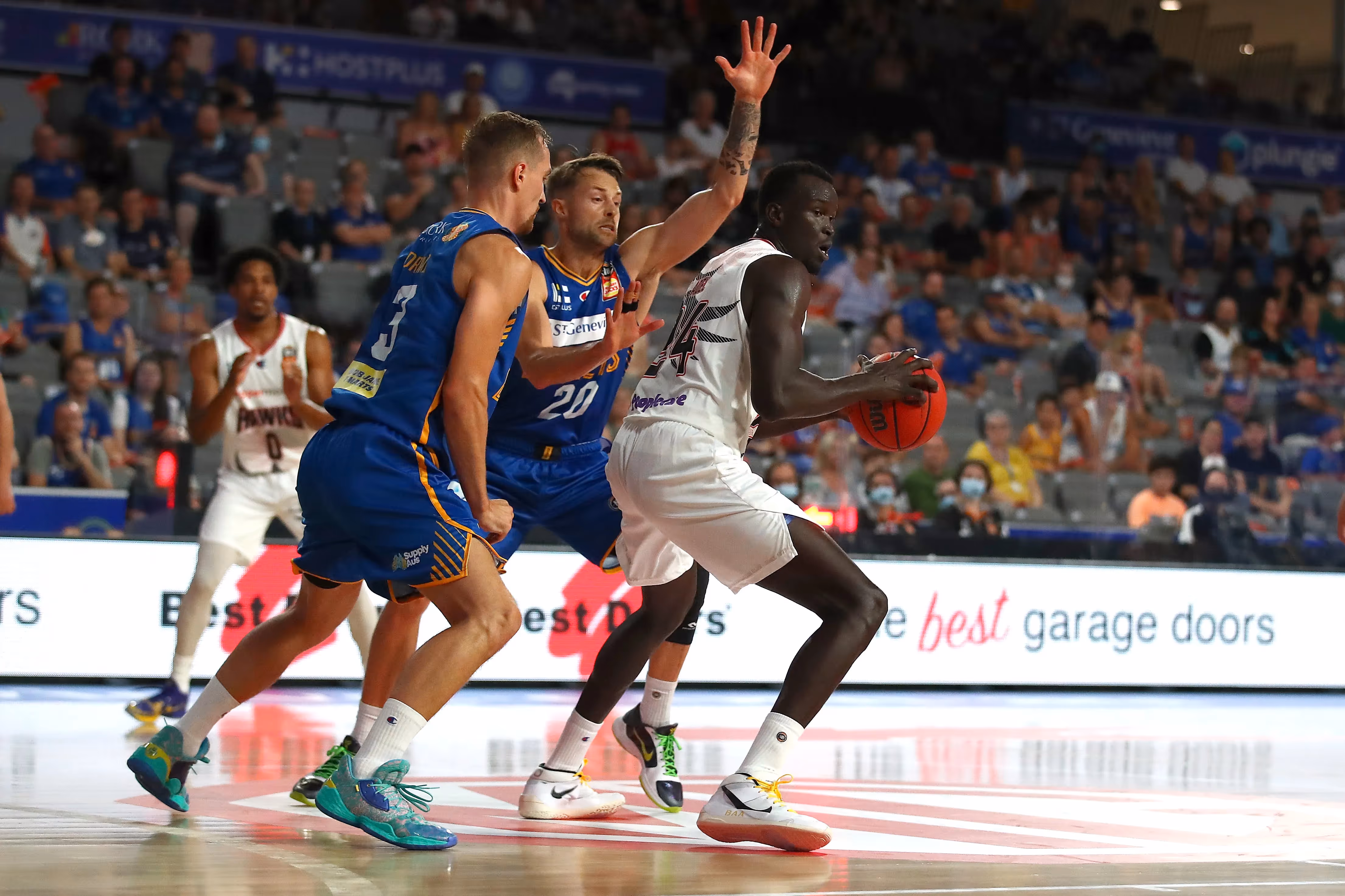 Adel Out of Hawks Clash with Taipans