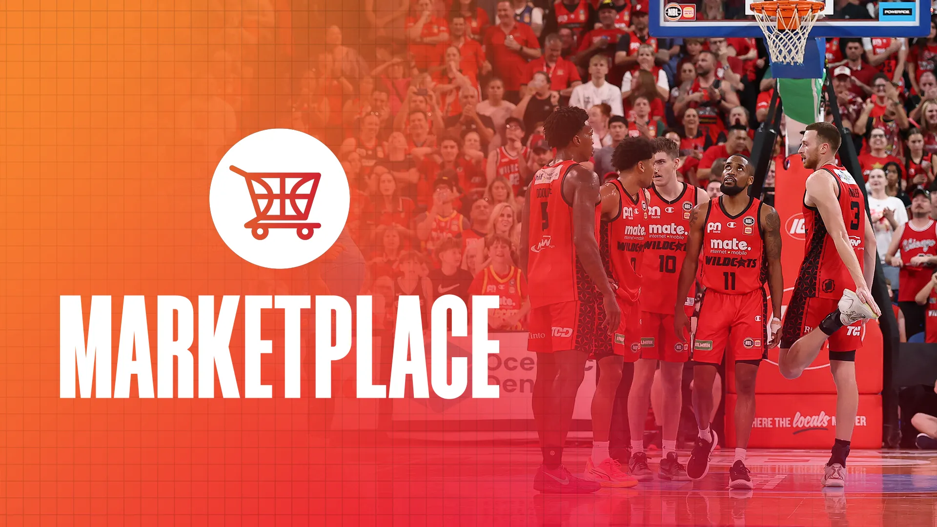 The Marketplace: What now for the Wildcats?