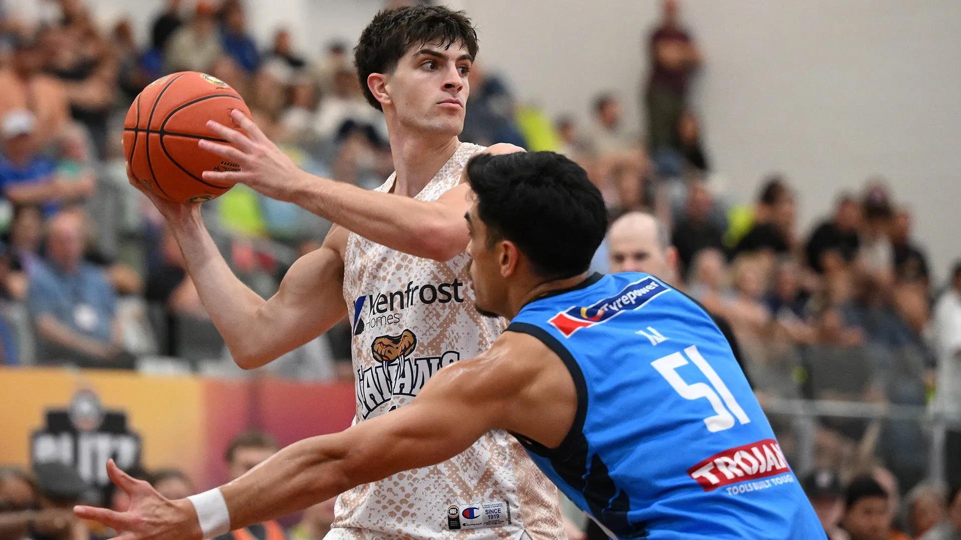 Star Taipan’s injury setback