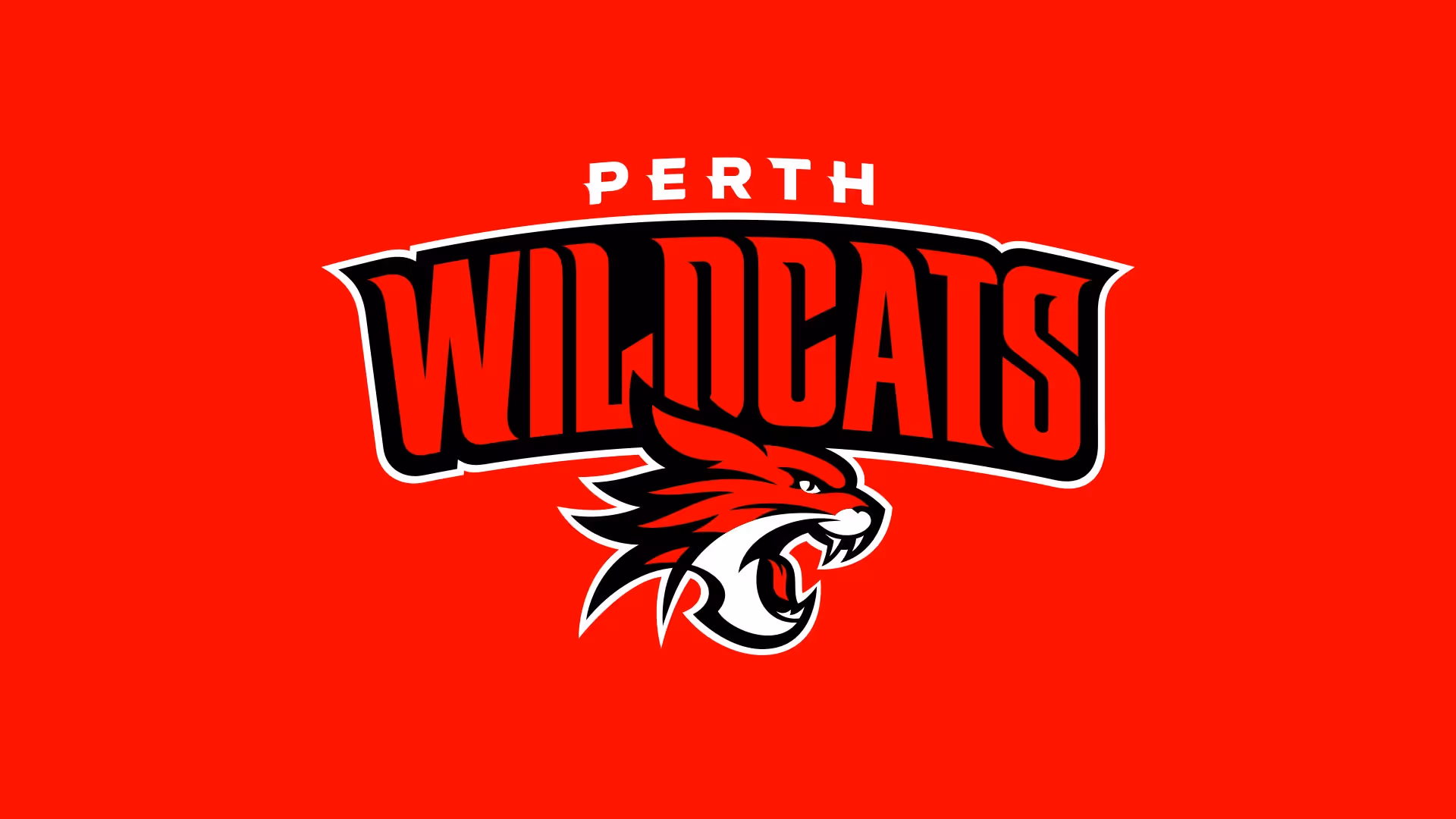 Perth Wildcats unveil bold new identity