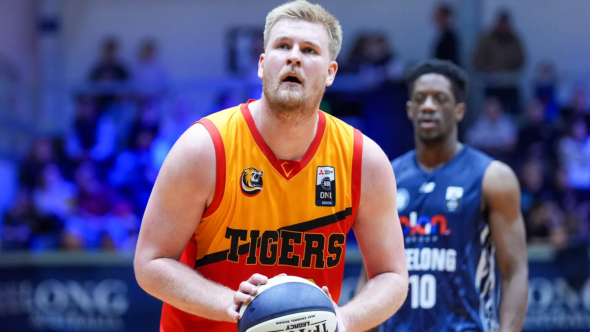 REPORT: Froling set for remarkable NBL comeback