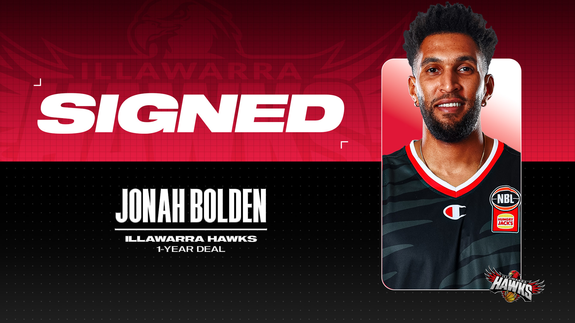 Hawks sign experienced big   