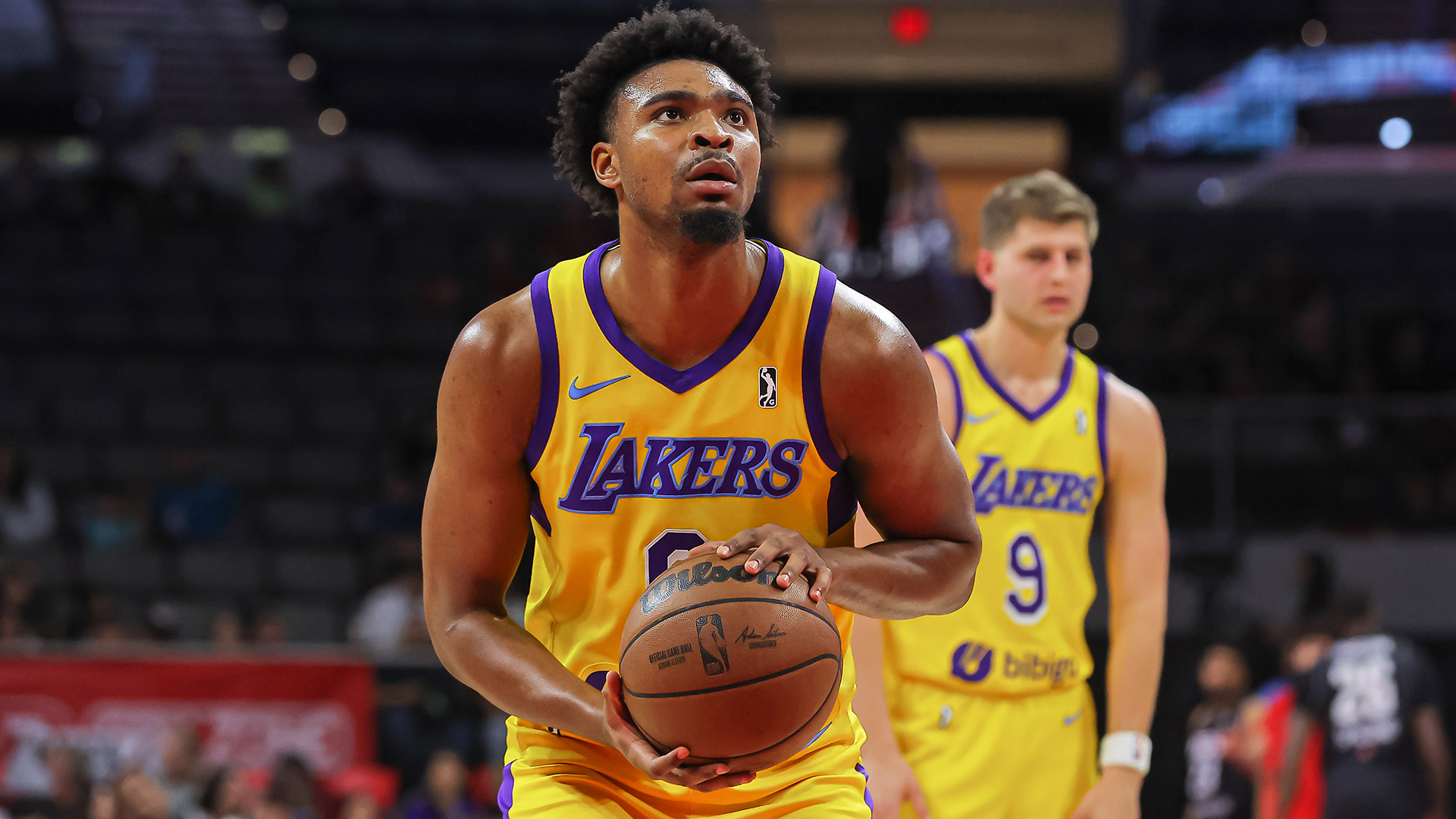 Jackies’ new import “an absolute stud”