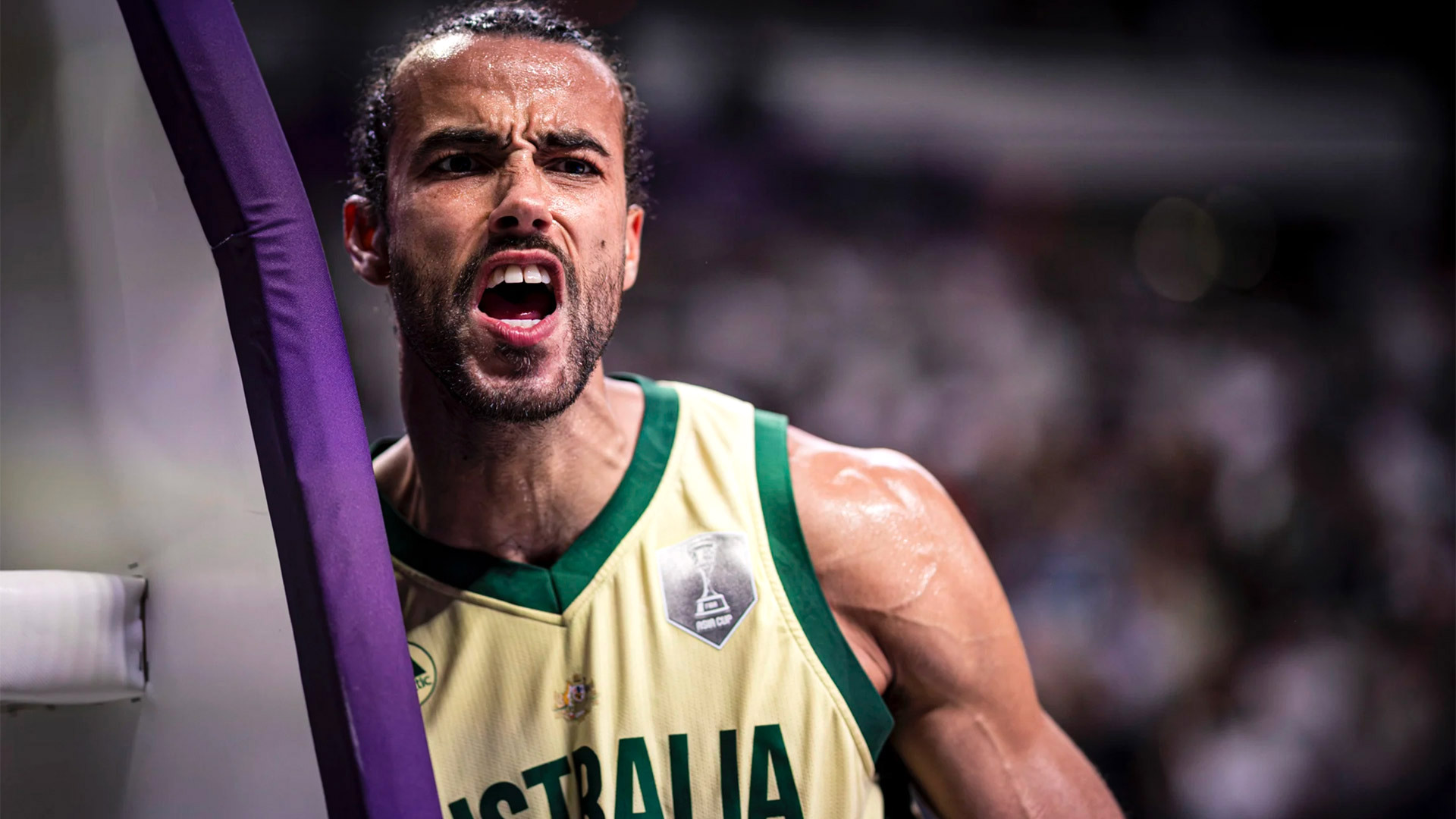 Cooks leads Boomers to Asia Cup triumph