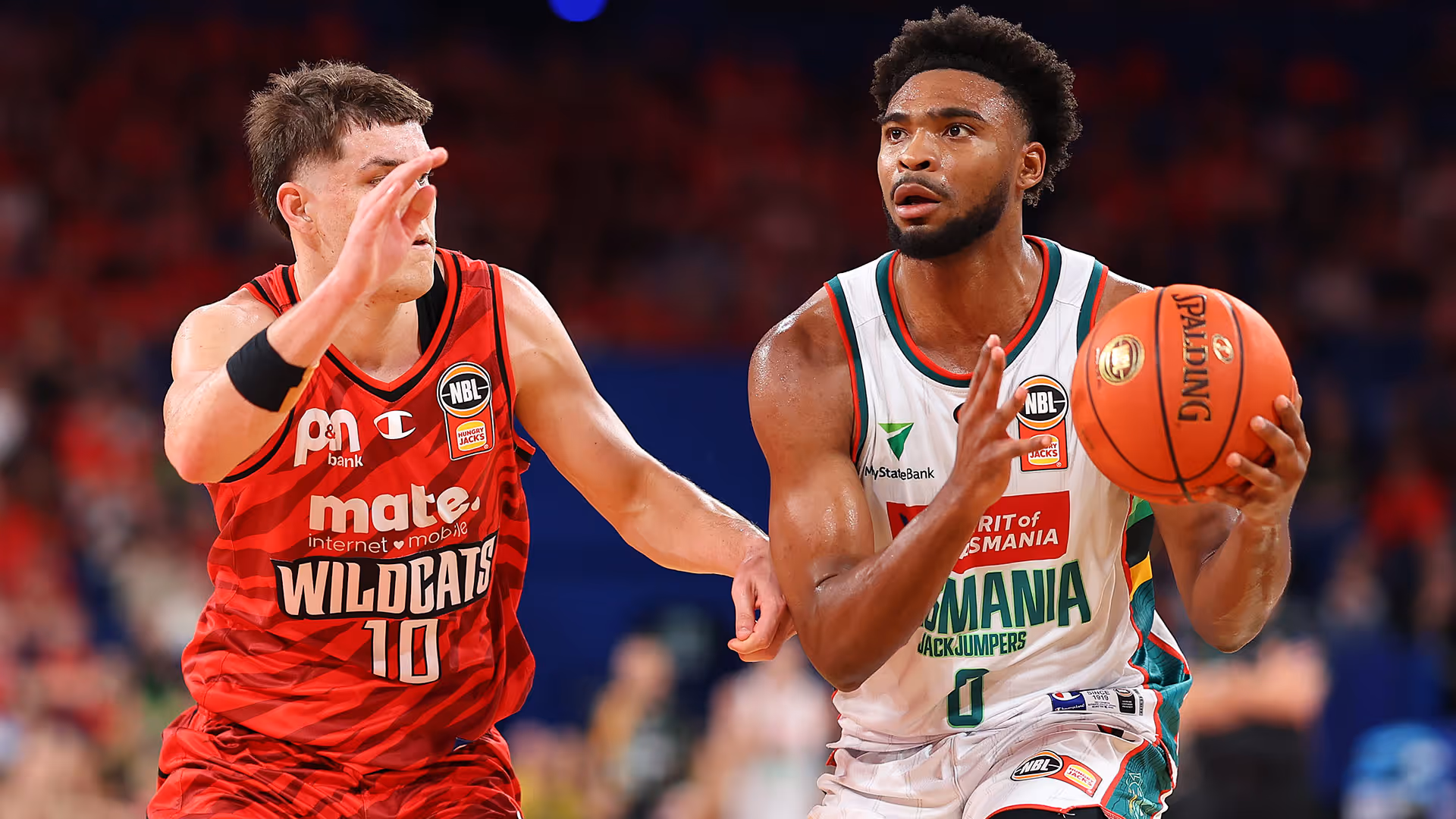 The JackJumpers’ new star has arrived