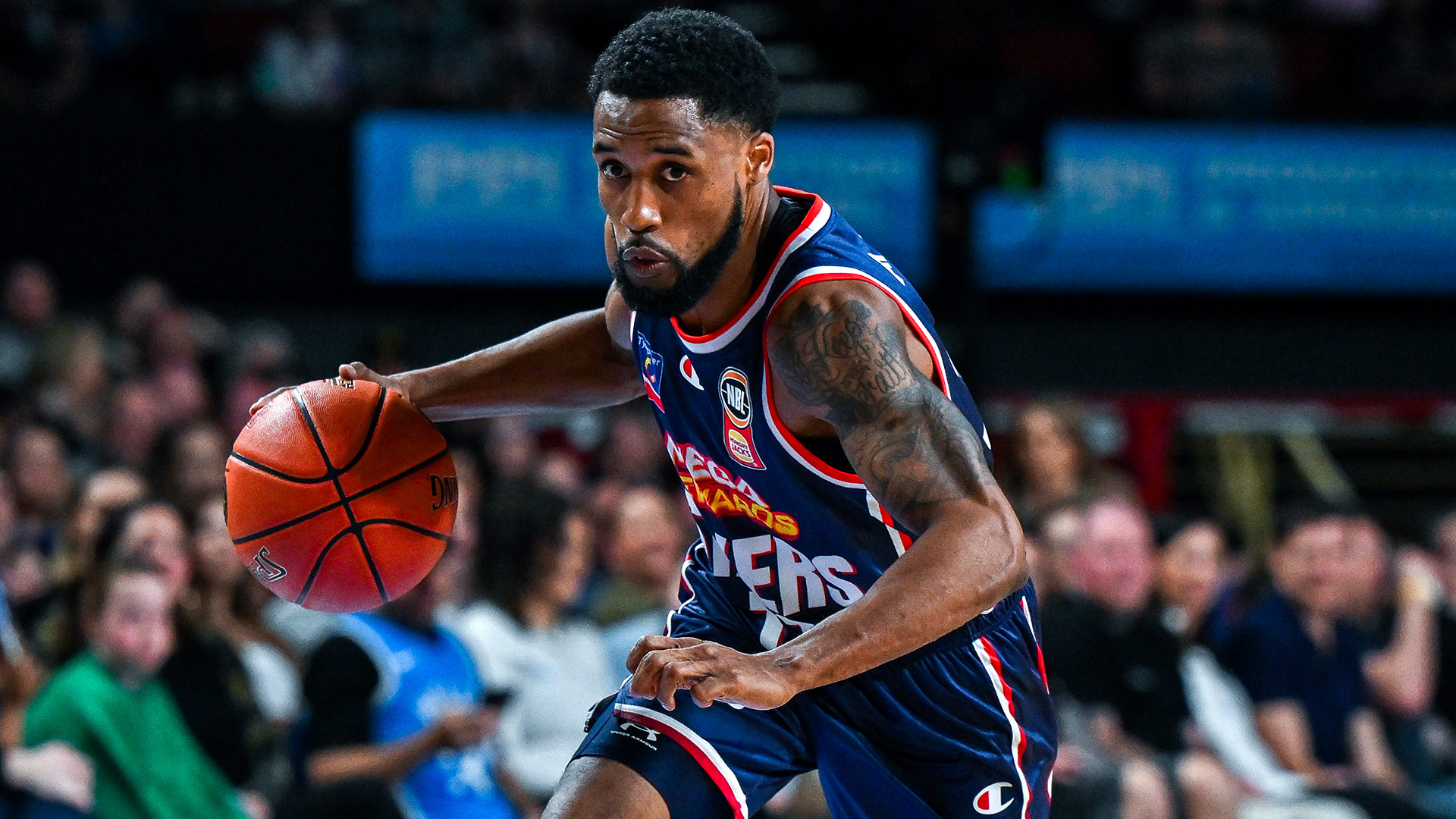 Cotton goes for 39 in first up 36ers win
