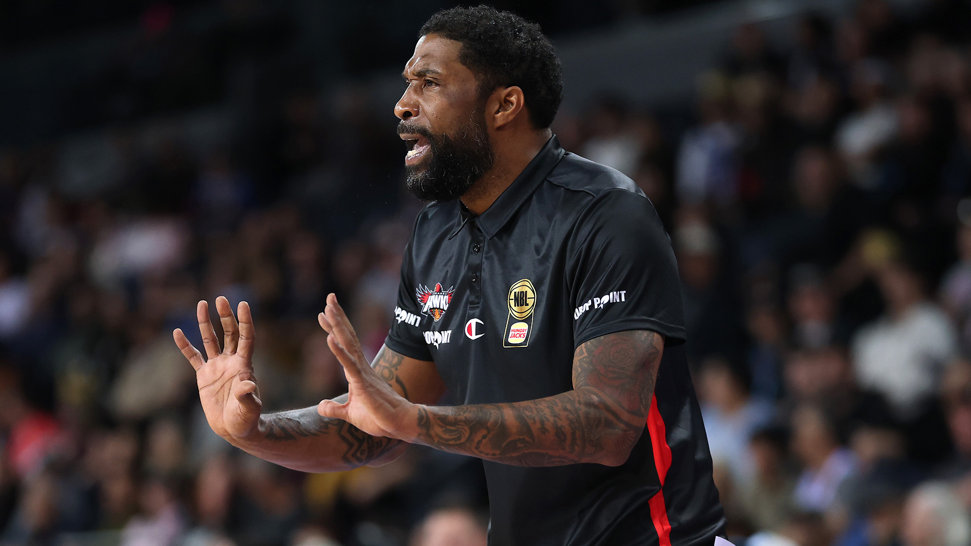 Nothing to declare: Hawks still scanning for new import