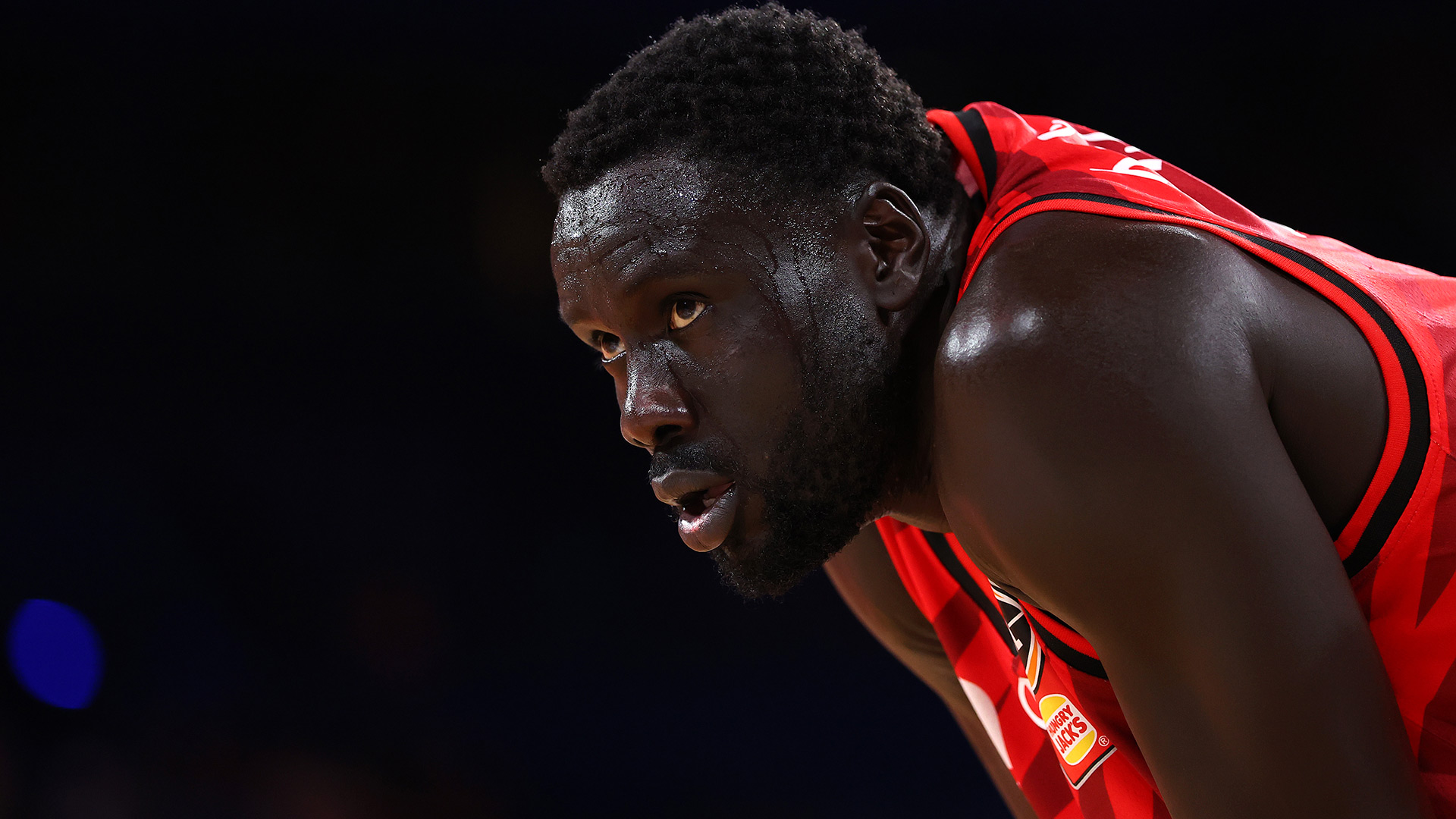 'Perth should expect success': Grace