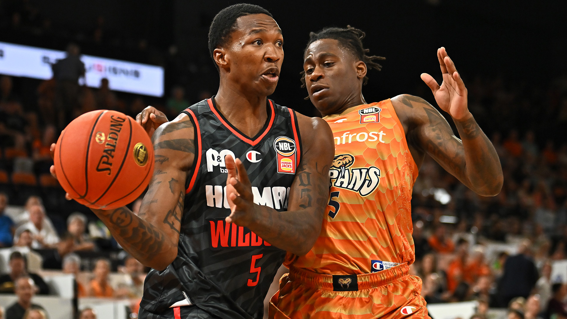 Wildcats rebound to smash Snakes