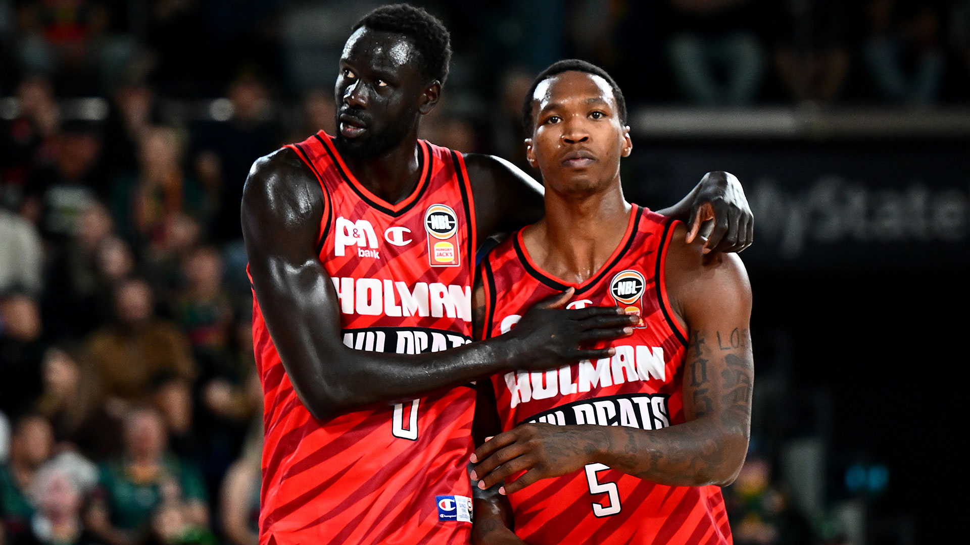 JLA takes charge as 'Cats win in Tassie