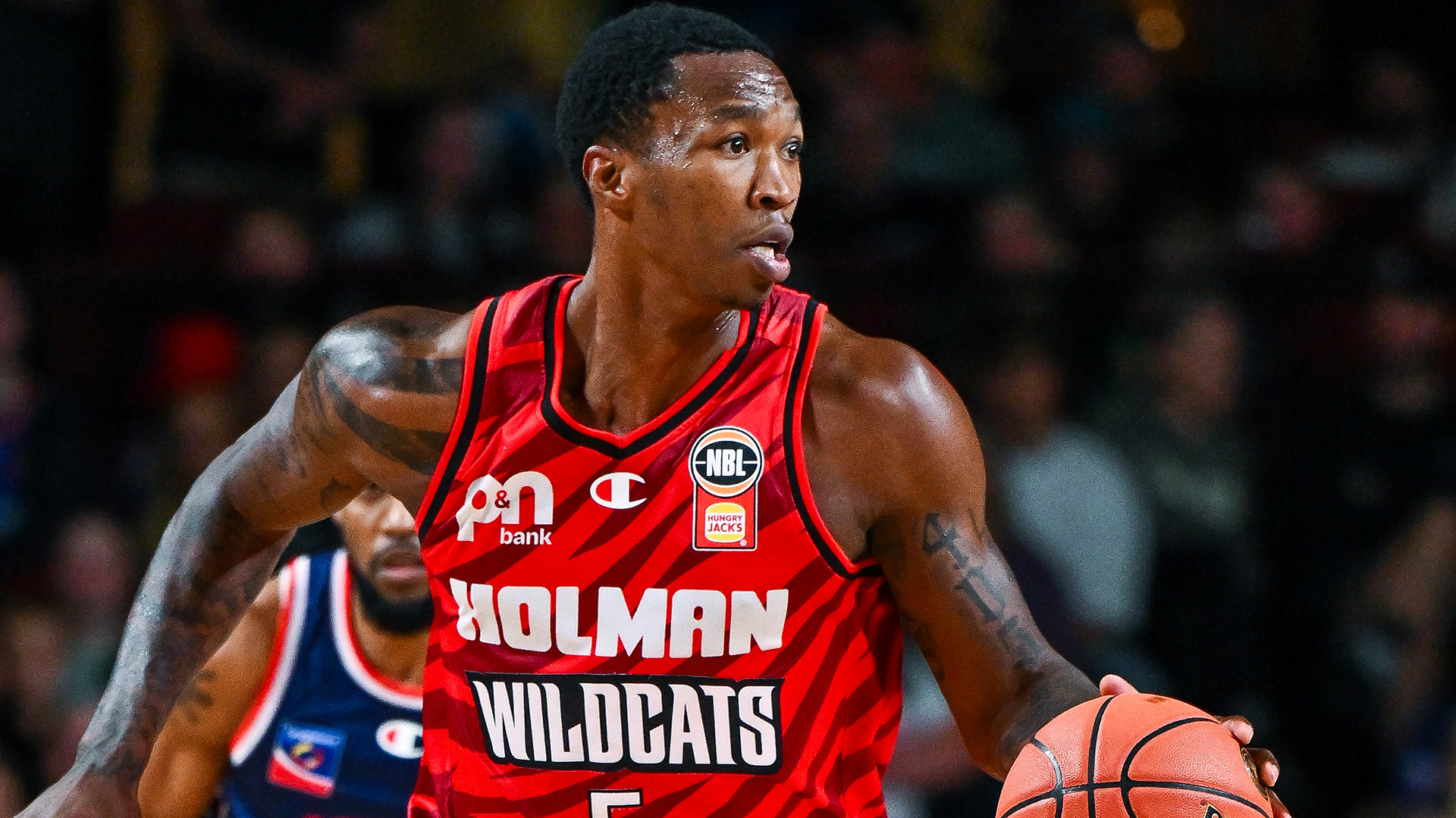 Anstey: 'Wildcats the real deal'