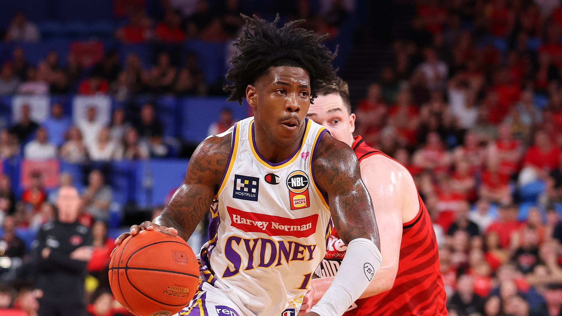 Davis and Kings destroy 'Cats in Perth
