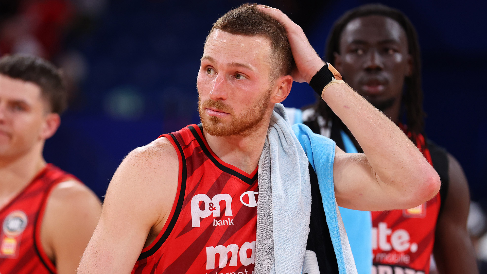 Landing on their feet: 'Cats vow to claw back