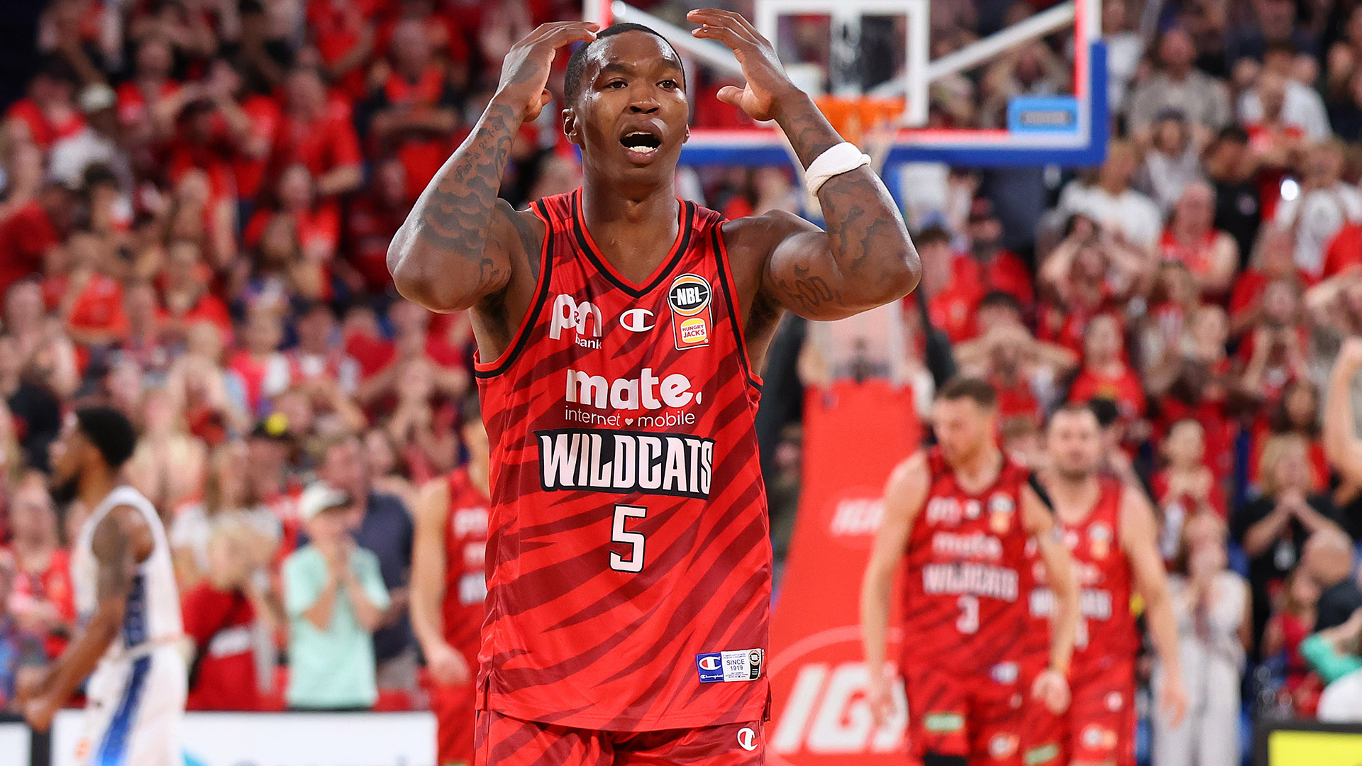NBL champion: Wildcat needs to Doo more