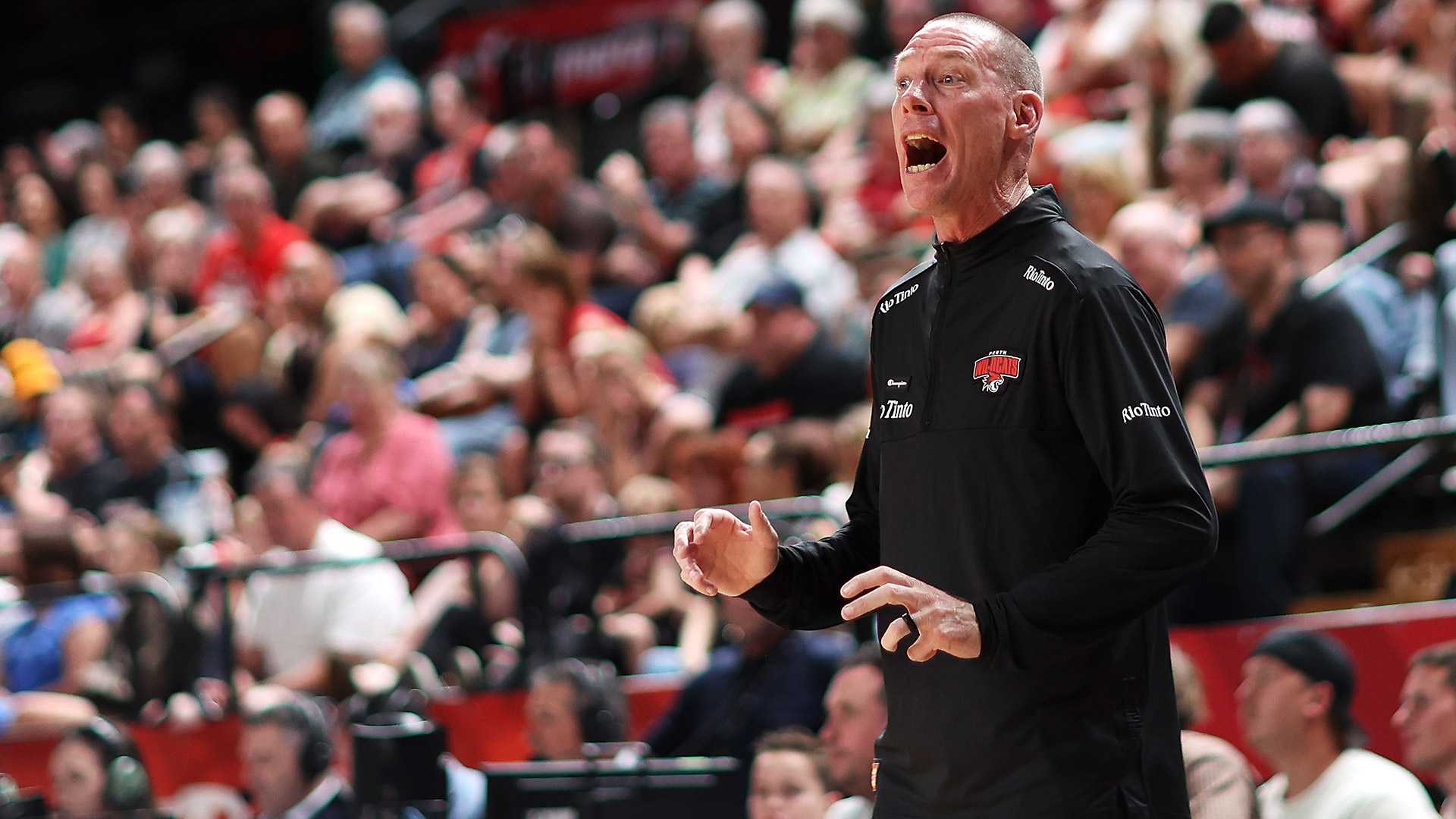 'Uncharacteric errors': Wildcats look to right the ship