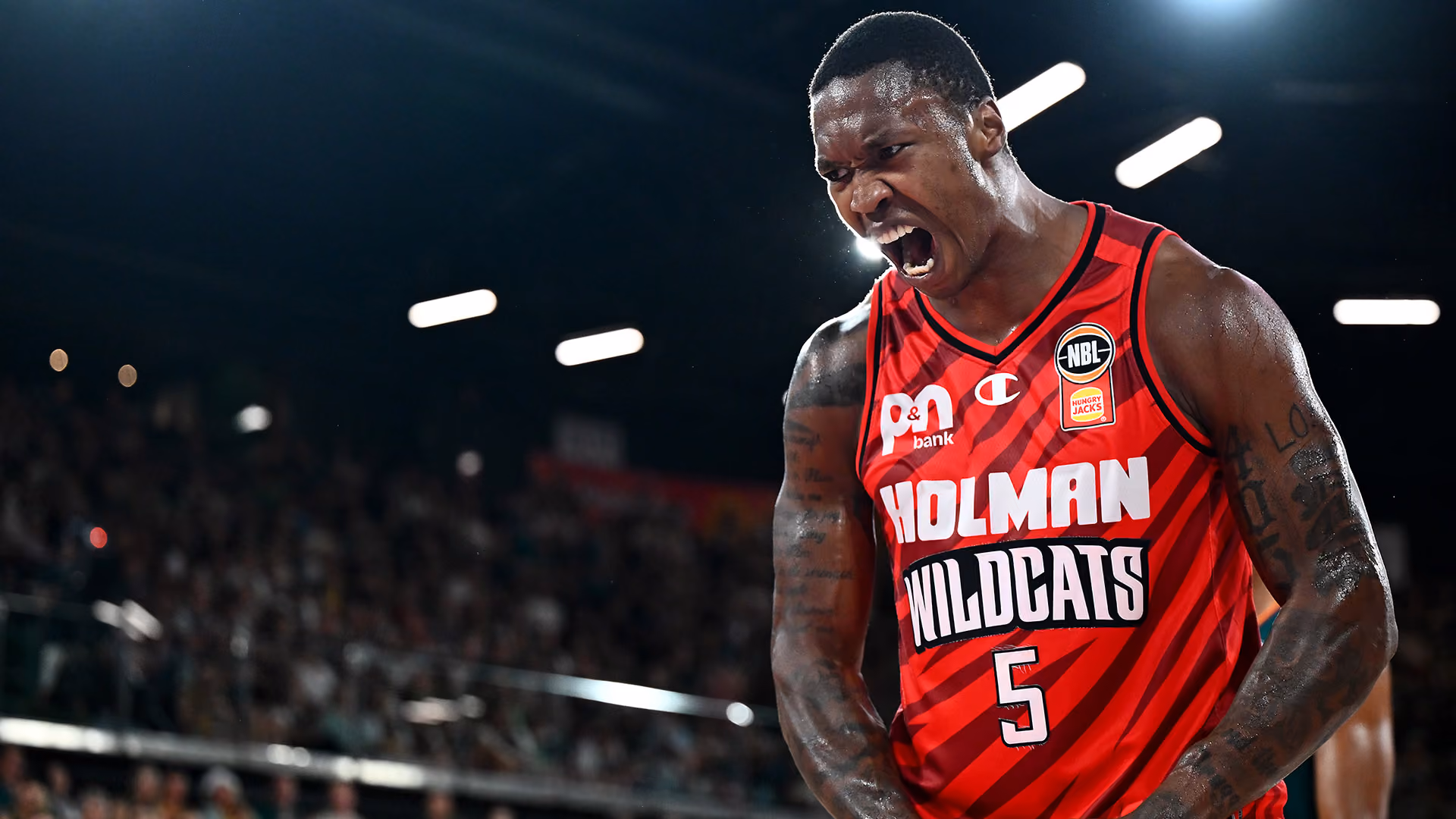 League's best rewarded with All-NBL selection