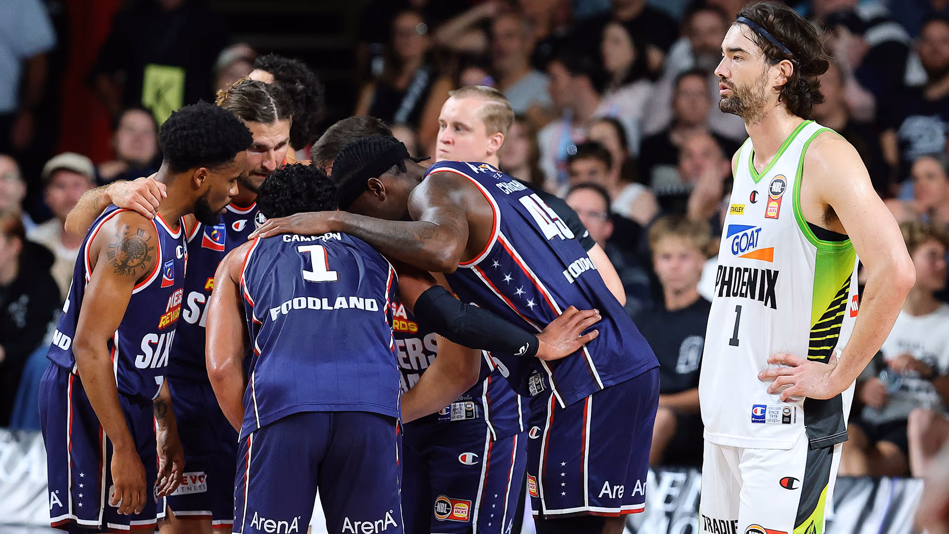 Anstey backs Phoenix, weighs in on Rakocevic debate