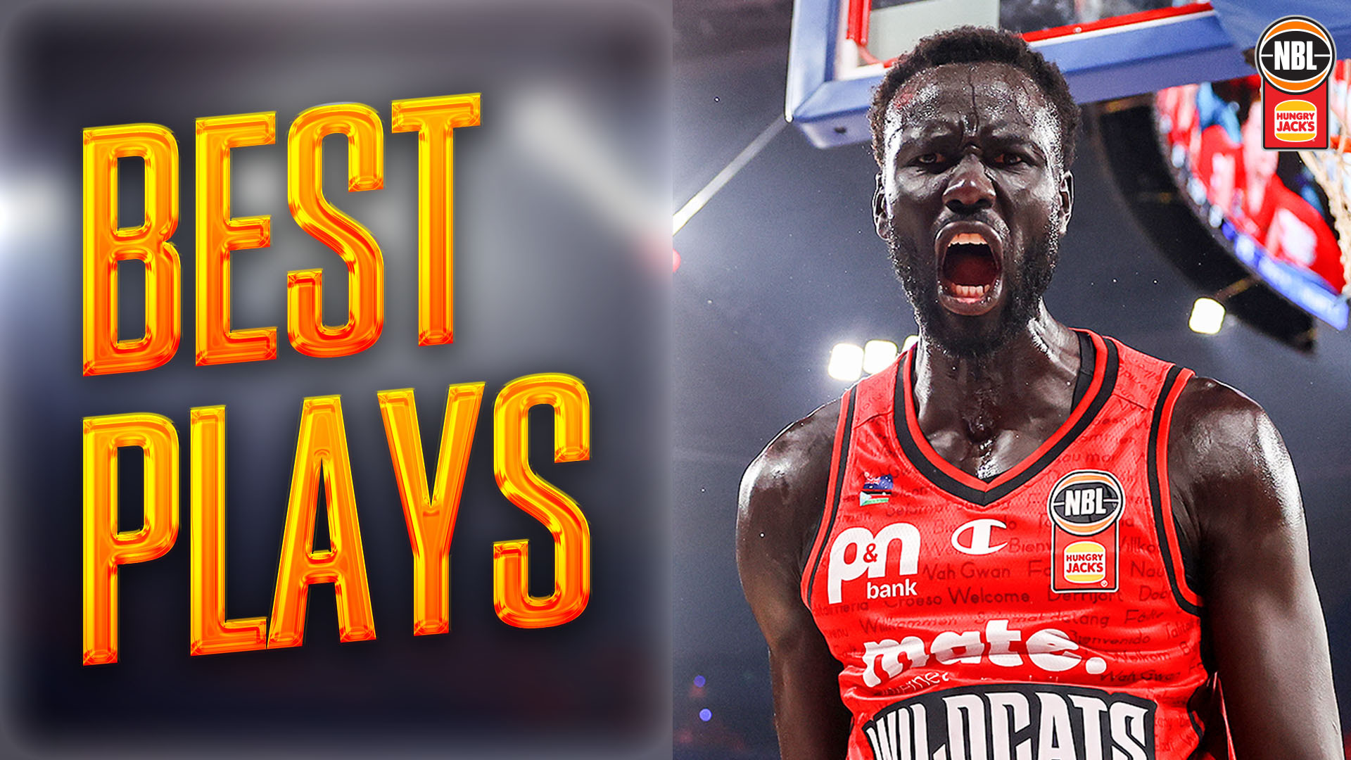 WATCH: Top plays of Wildcat's season