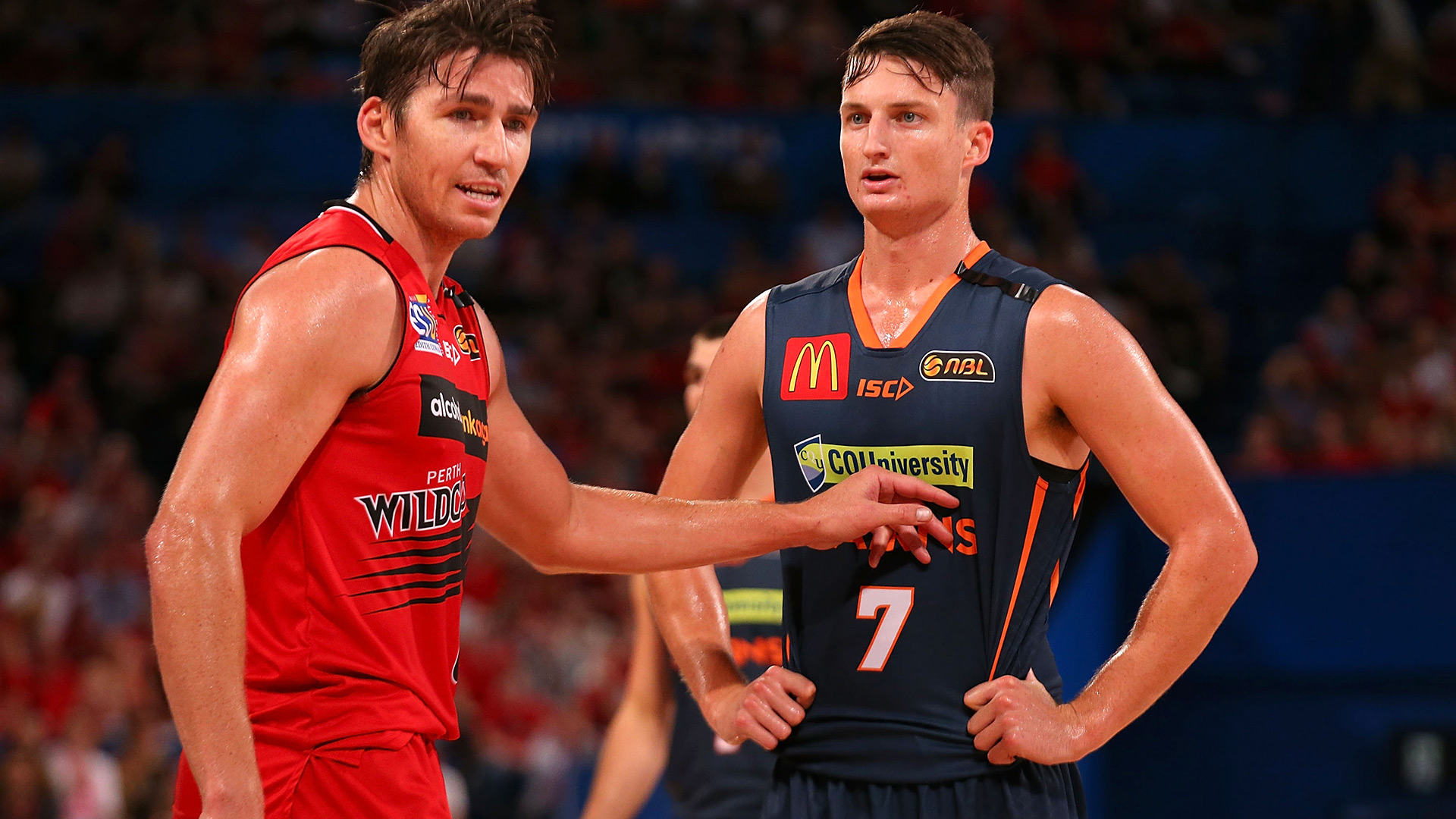 Bruce chases almighty Cairns comeback