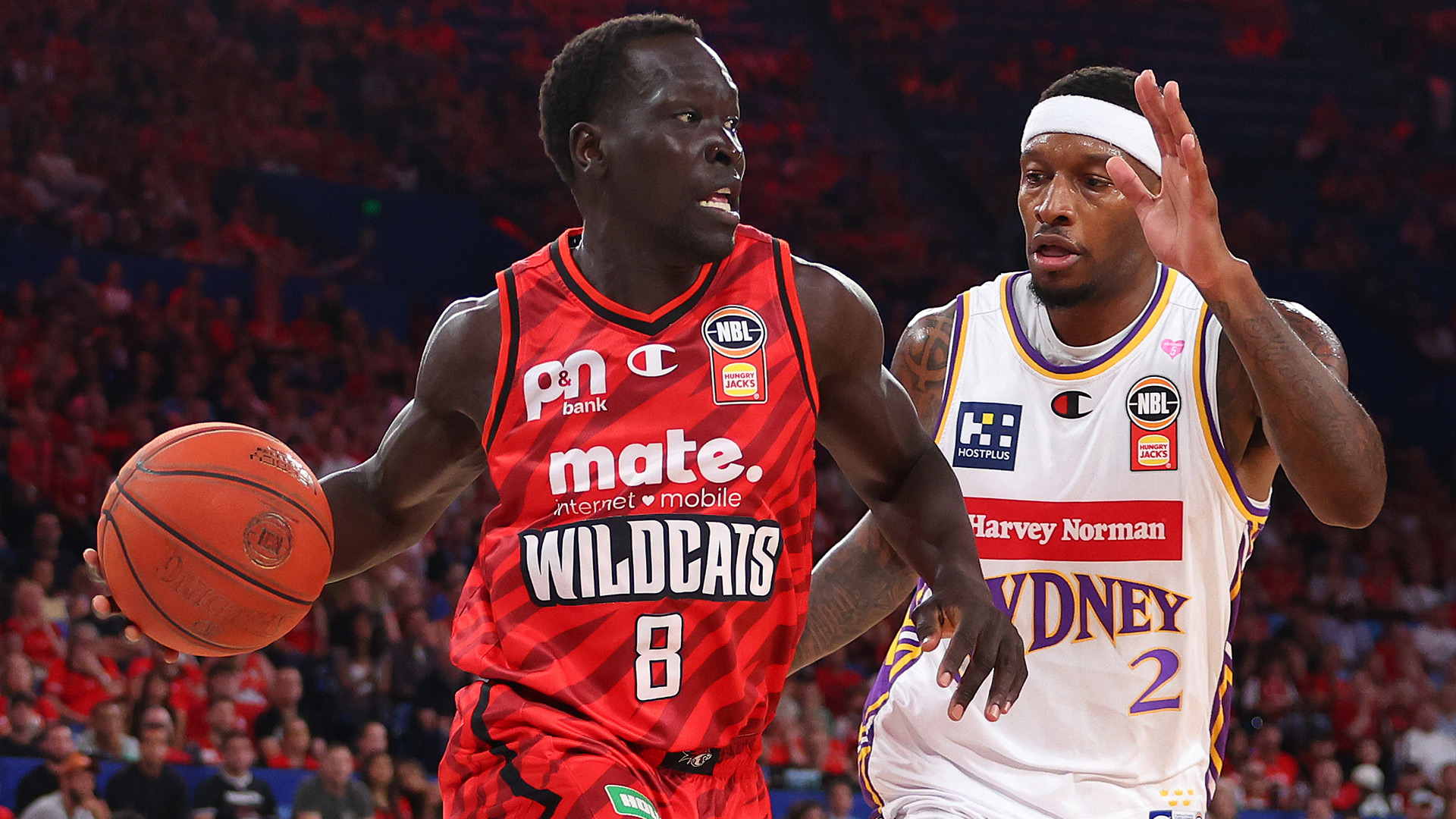 Cairns adds serious NBL experience to growing roster