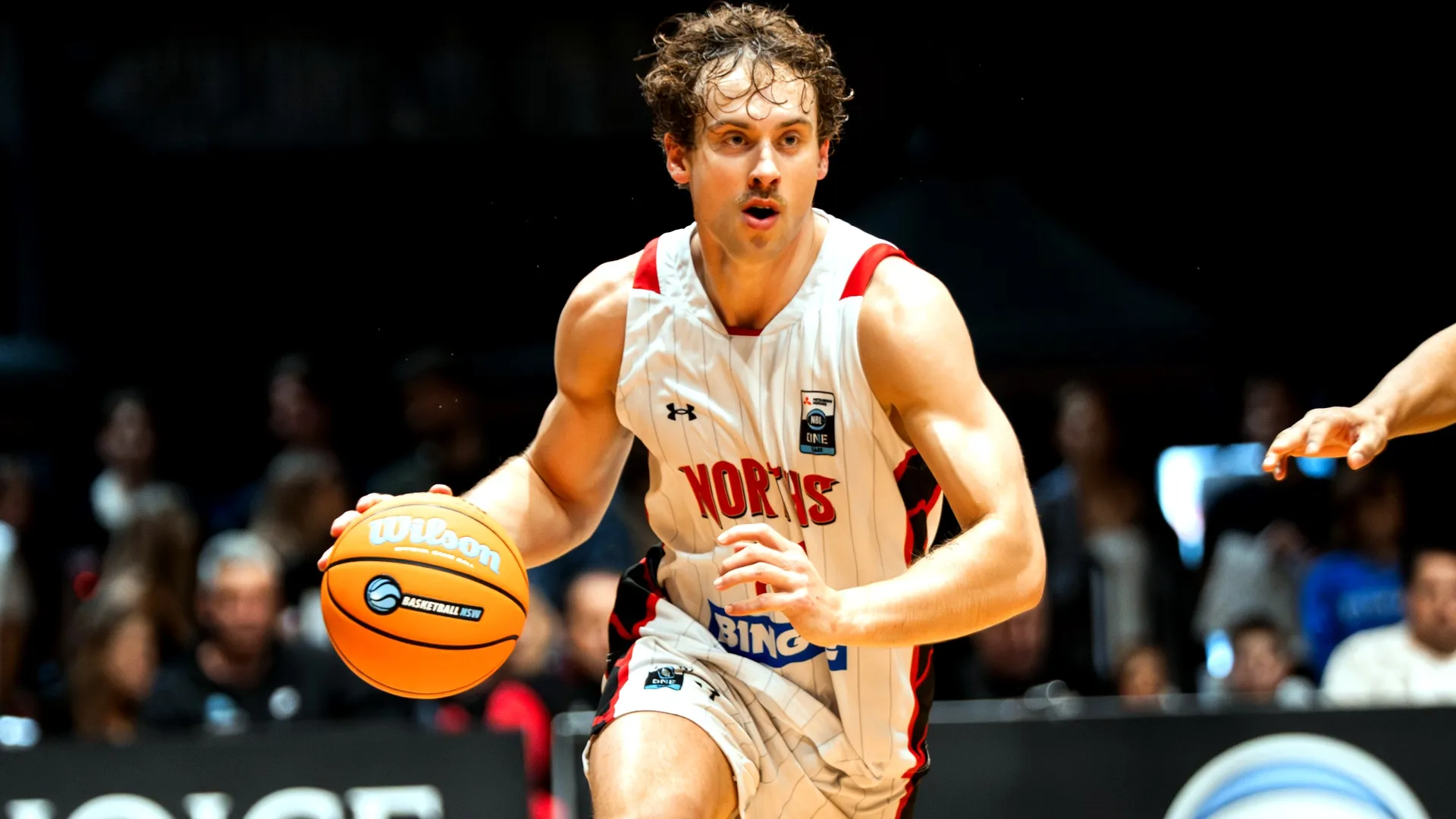 Kings bolster roster ahead of Blitz