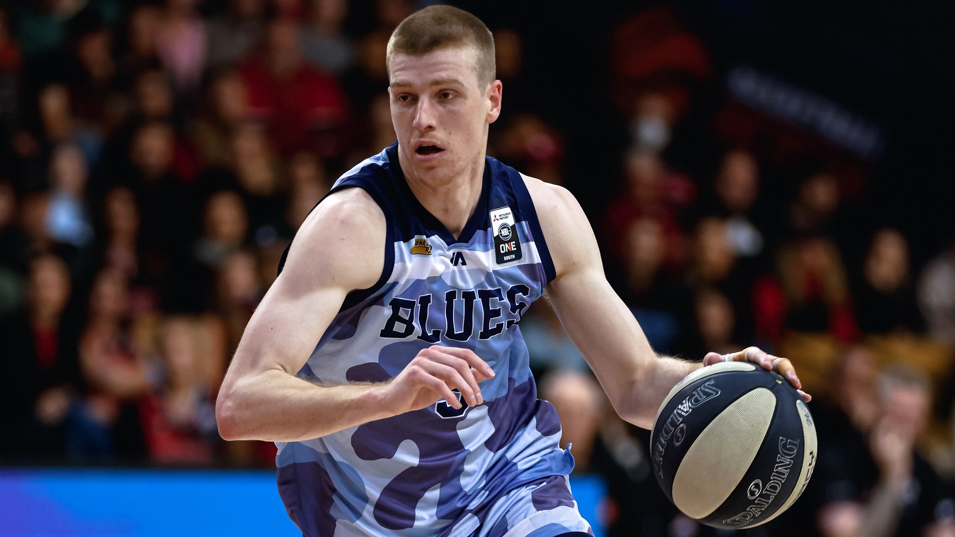 NBL1 duo join United on eve of season