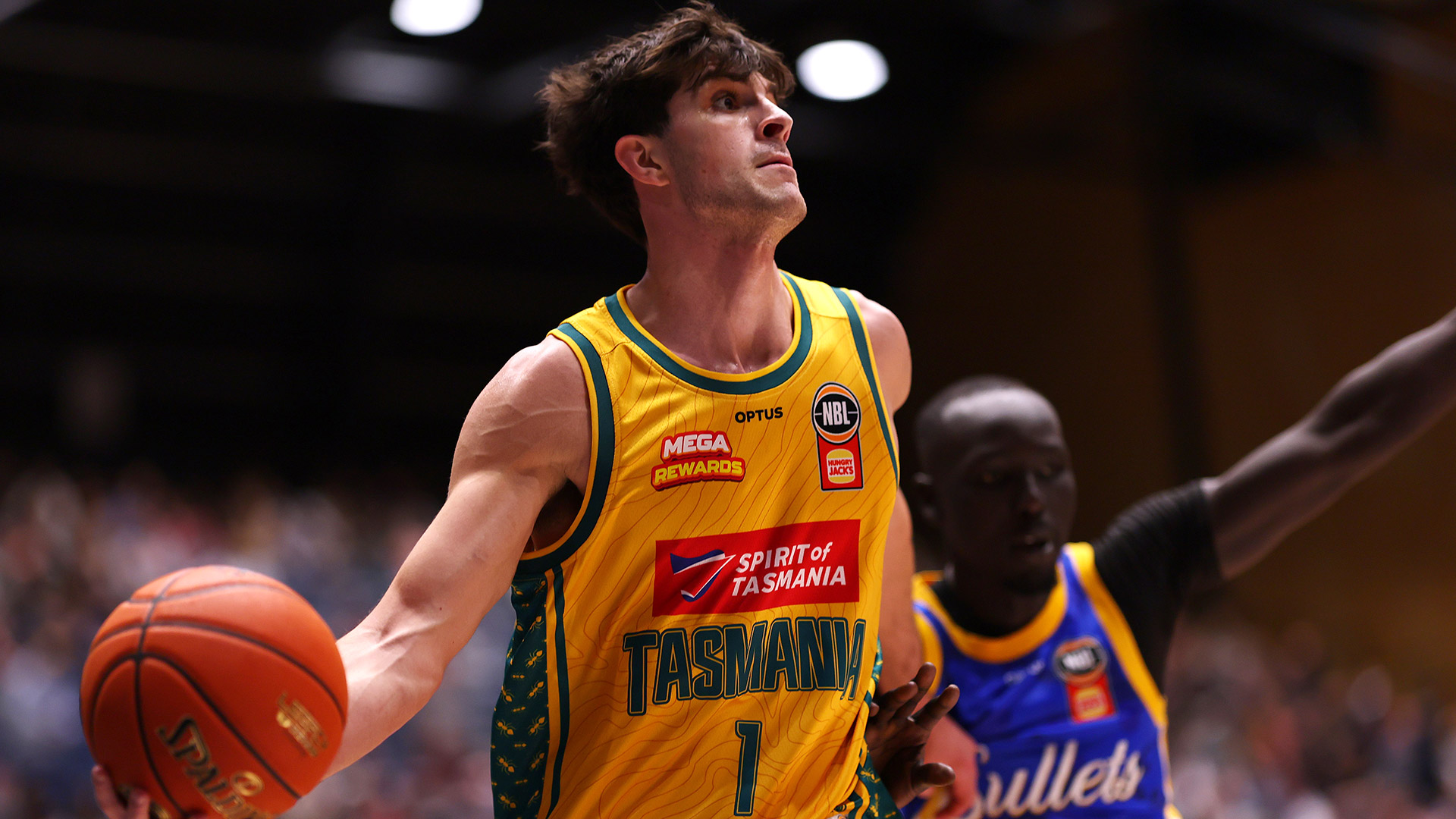 Home state to first NBL home: Armstrong set for Cairns reunion