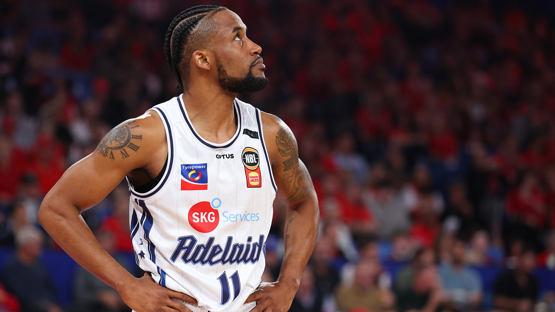 37 points, 300 games and one apology Adelaide refused to accept