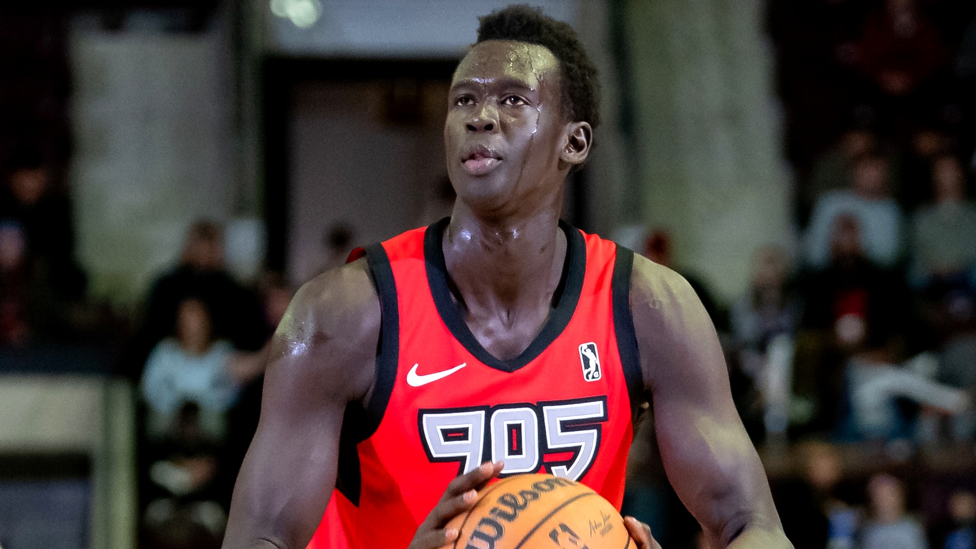 Hawks add NBL champion for front court depth