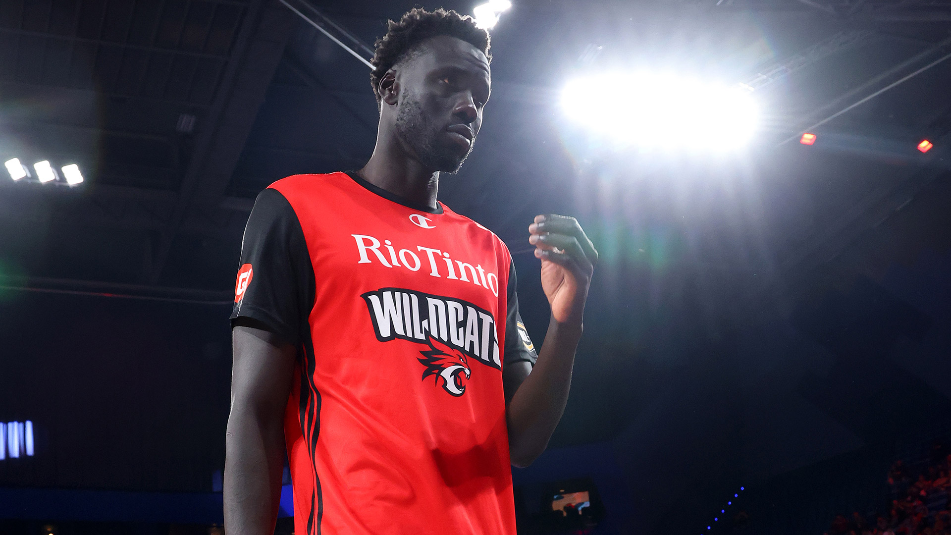 Wildcats rule out big man, star import made to wait