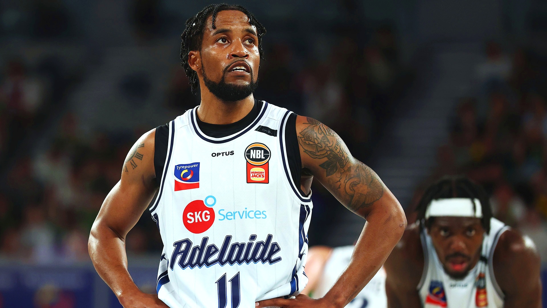 Why Cotton isn’t sweating Adelaide’s 4-5 start