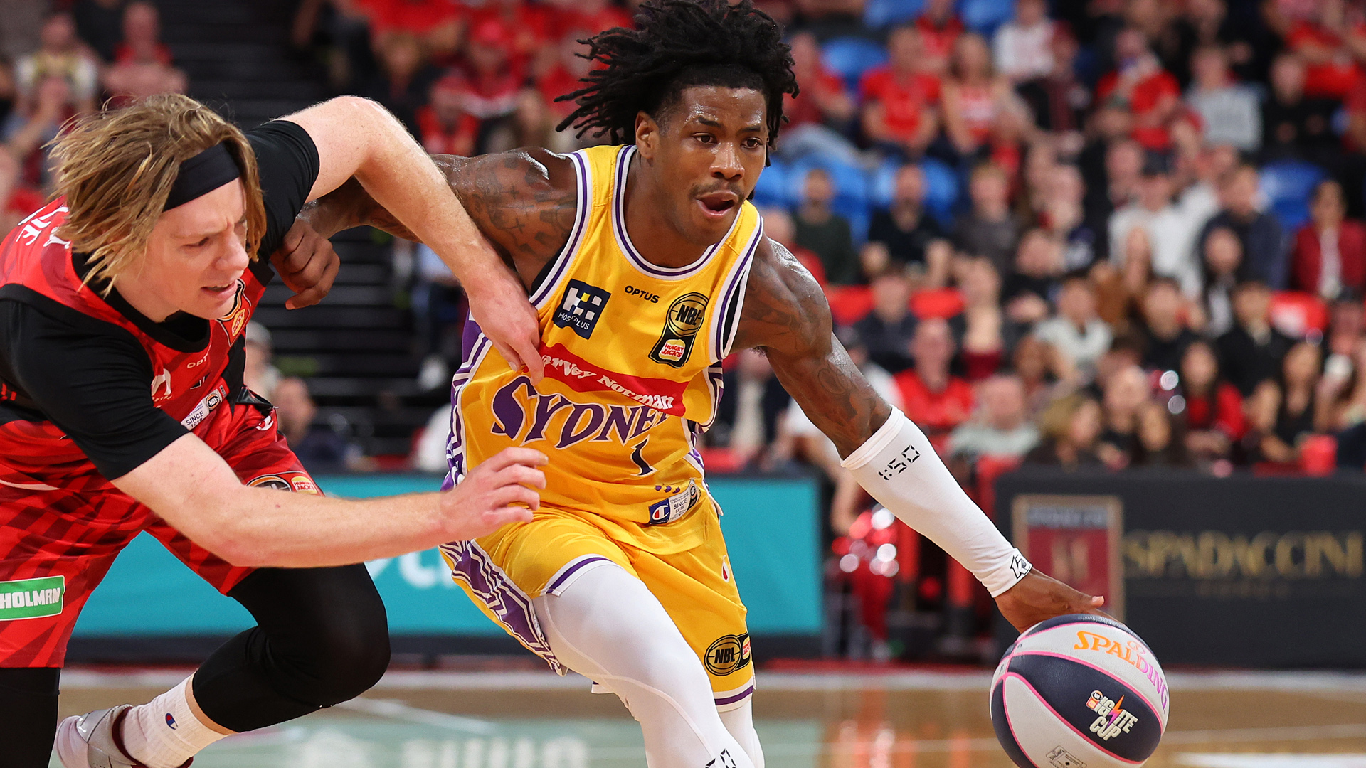 Kings hold out 'Cats after perfect start