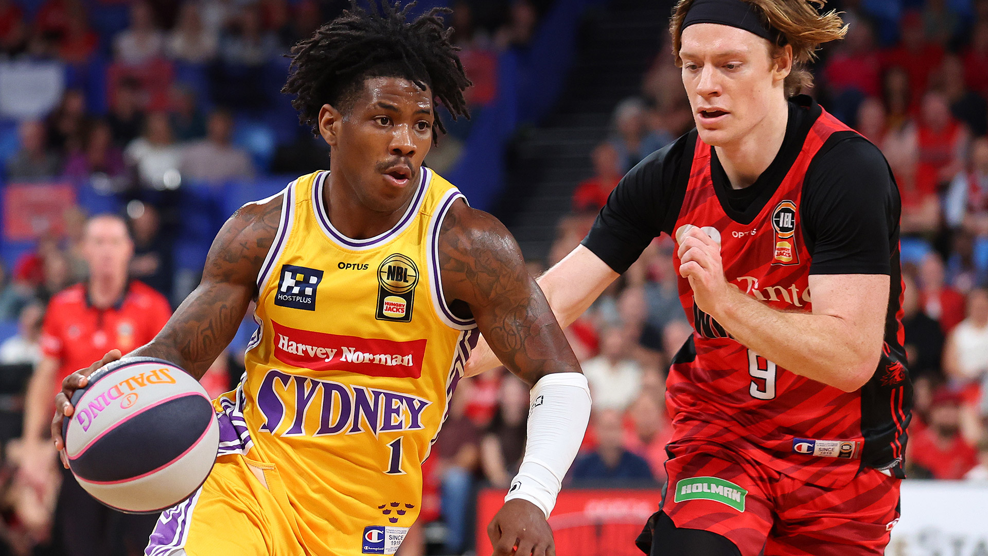 Kings hold out 'Cats after perfect start