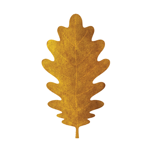 White Oak Painting logo