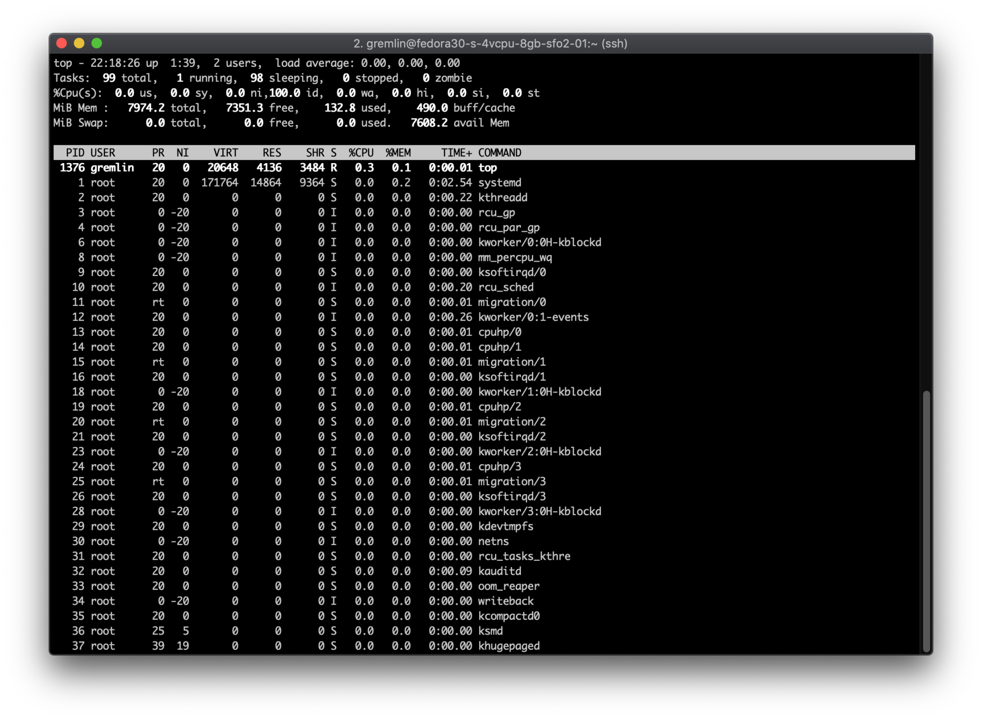 Top command output