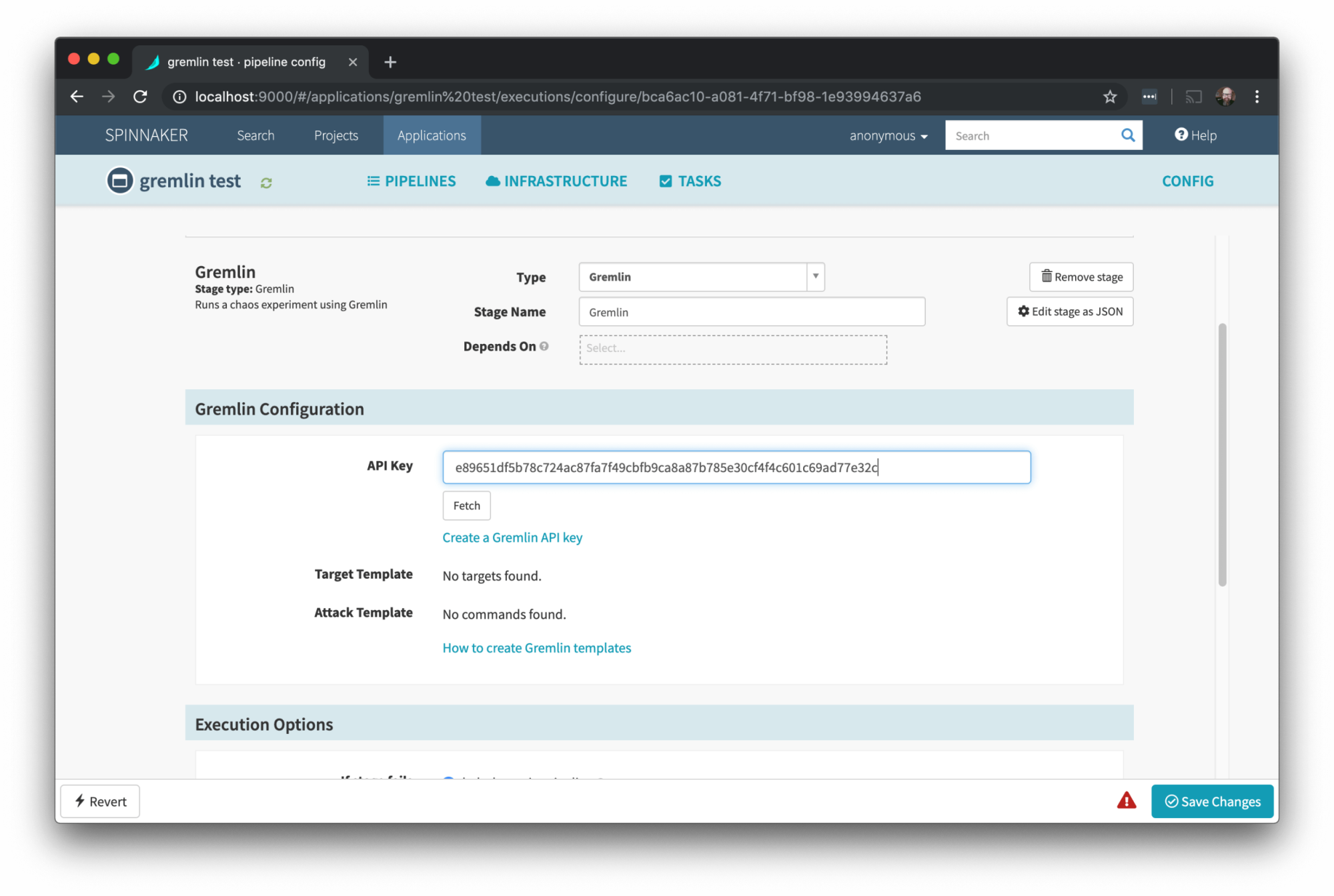 Paste in API key