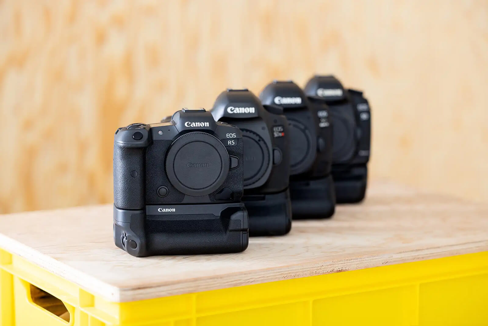 Fotokameras von Canon aufgereiht auf Holzuntergrund