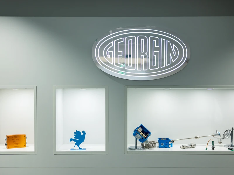 Salariés et locaux de GEORGIN :  - Hauts-de-Seine