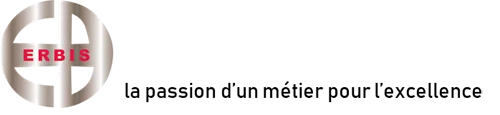 logo-erbis