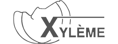 logo-xyleme