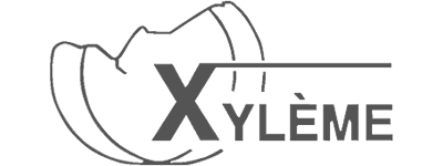 logo-xyleme