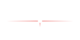 logo-laser-services-france