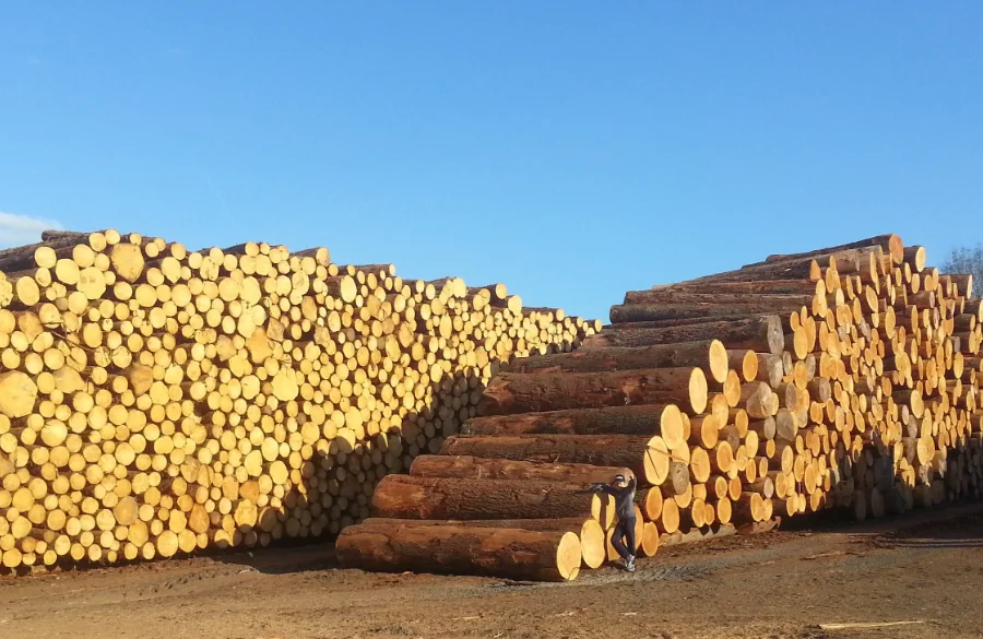 ELP Bois entreprise de Scierie Puy-de-Dôme