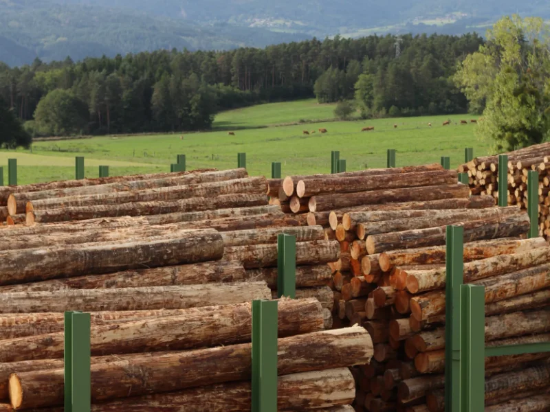 Salariés et locaux de ELP Bois : Scierie - Puy-de-Dôme
