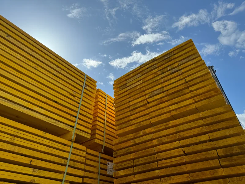 Salariés et locaux de ELP Bois : Scierie - Puy-de-Dôme