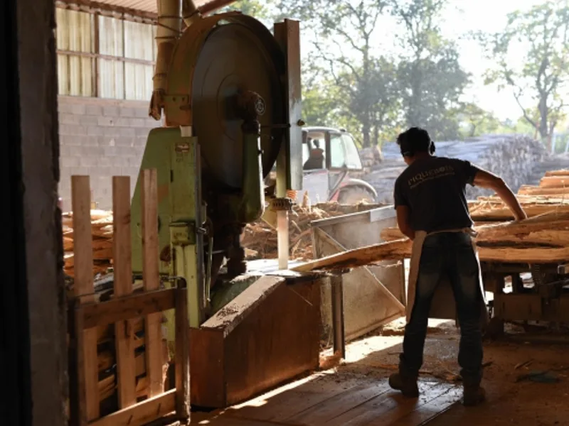 Piquet Bois - Fabrication de piquets fendus en acacia pour vigne, clôtures et parcs