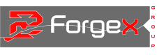 Logo FORGEX France - Traitement thermique, Usinage, Mécanique de précision, Soudure à Nogent (Haute-Marne 52 - Grand-Est) près de Chaumont, Langres, Saint-Dizier