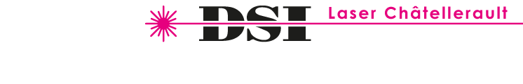 Logo DSI LASER CHATELLERAULT - Soudure laser, Chaudronnerie à Châtellerault (Vienne 86 - Nouvelle-Aquitaine) près de Poitiers, Châtellerault, Montmorillon