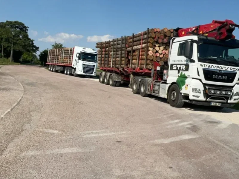 Offre d'emploi Chauffeur Grumier SPL expérimenté (H/F) Transports Roy