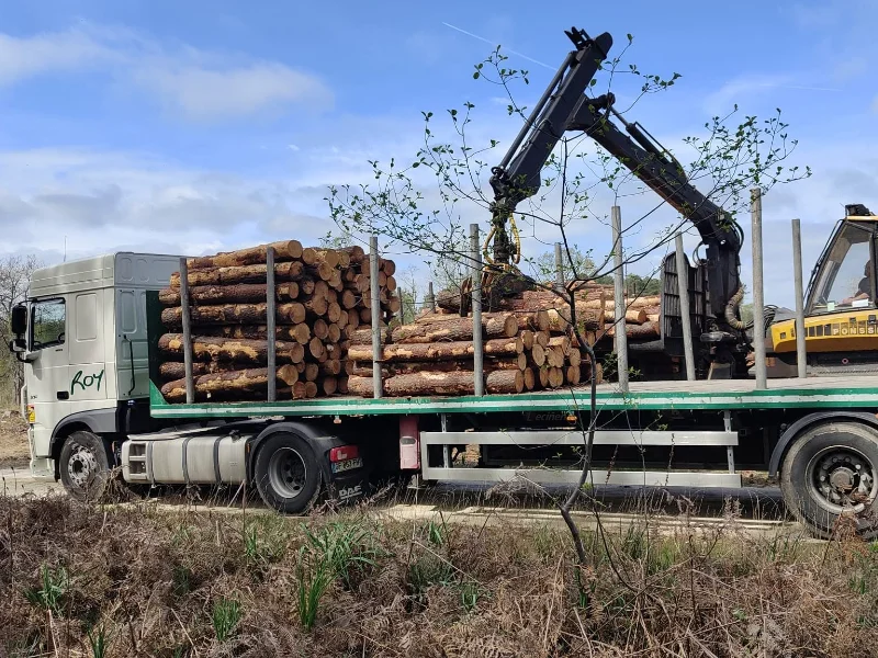 Transports Roy - Transport routier et logistique de bois-bûches pour la filière bois